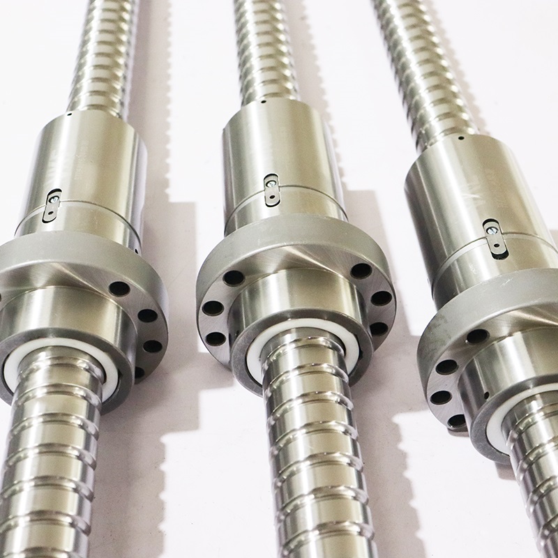 ball screw and nut